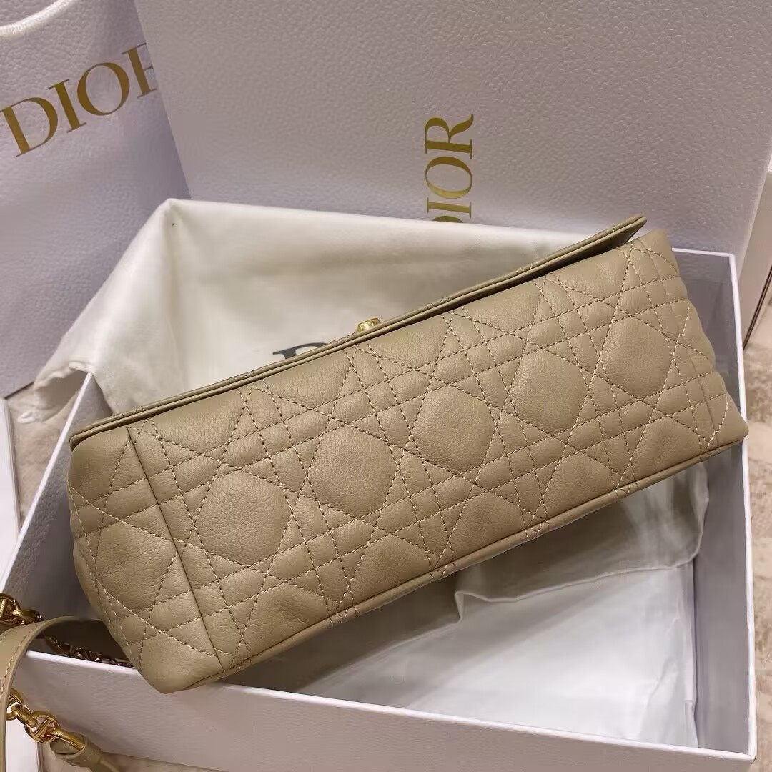 D*or medium D*or caro bag 25.5x15.5x9cm