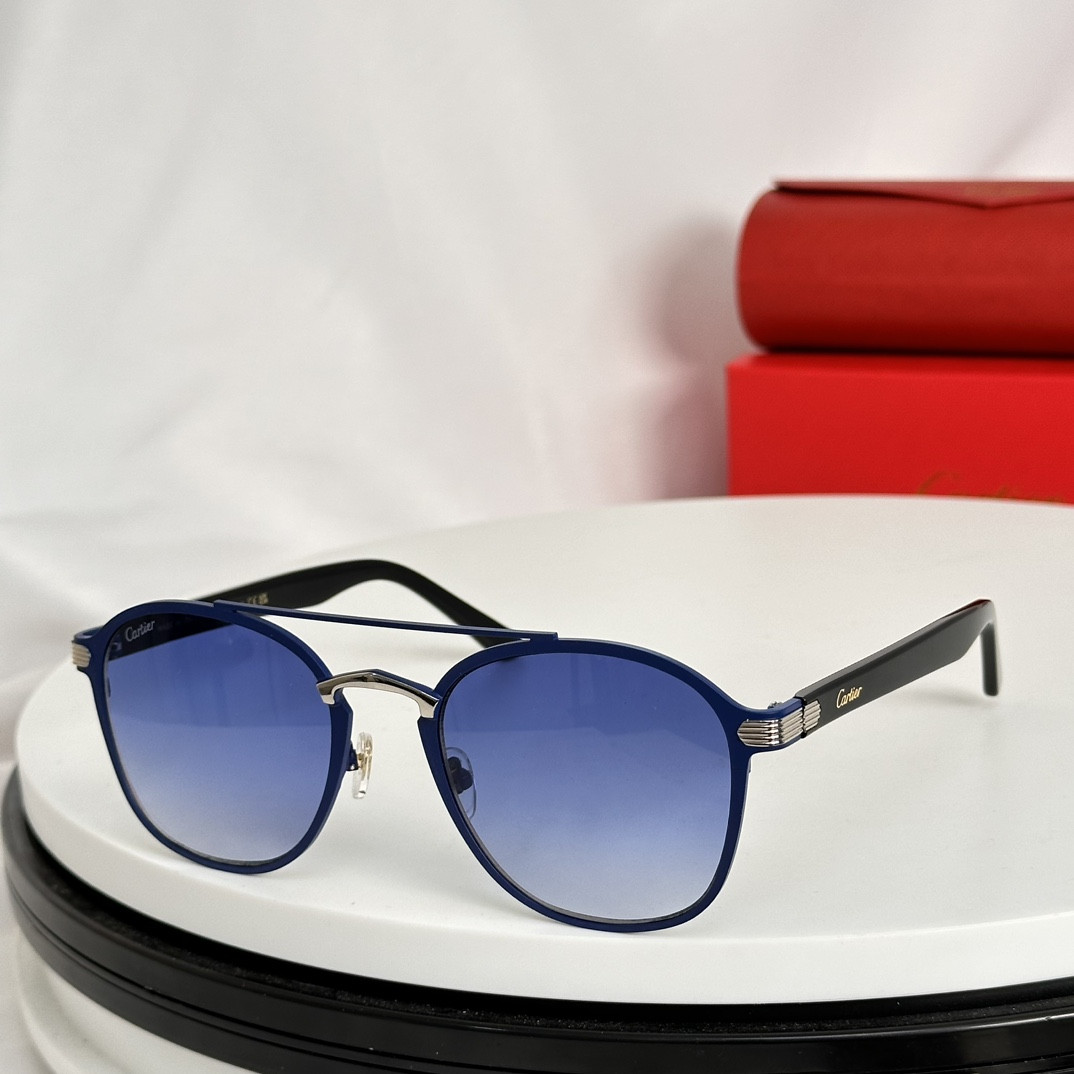 Ca*t*er Glasses CT0012S 56-21-145