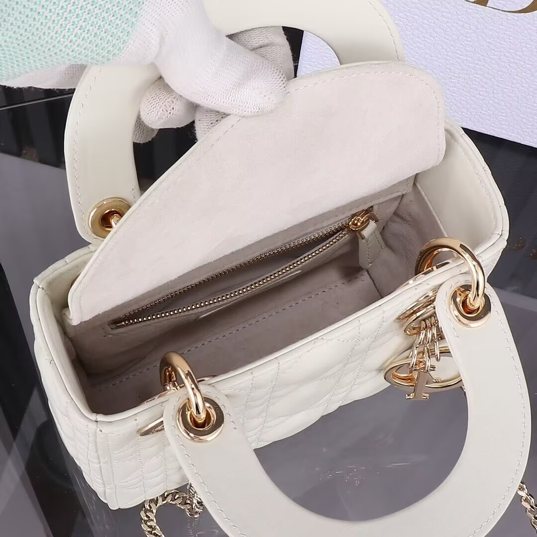 lady D*or bag 17x7x15cm