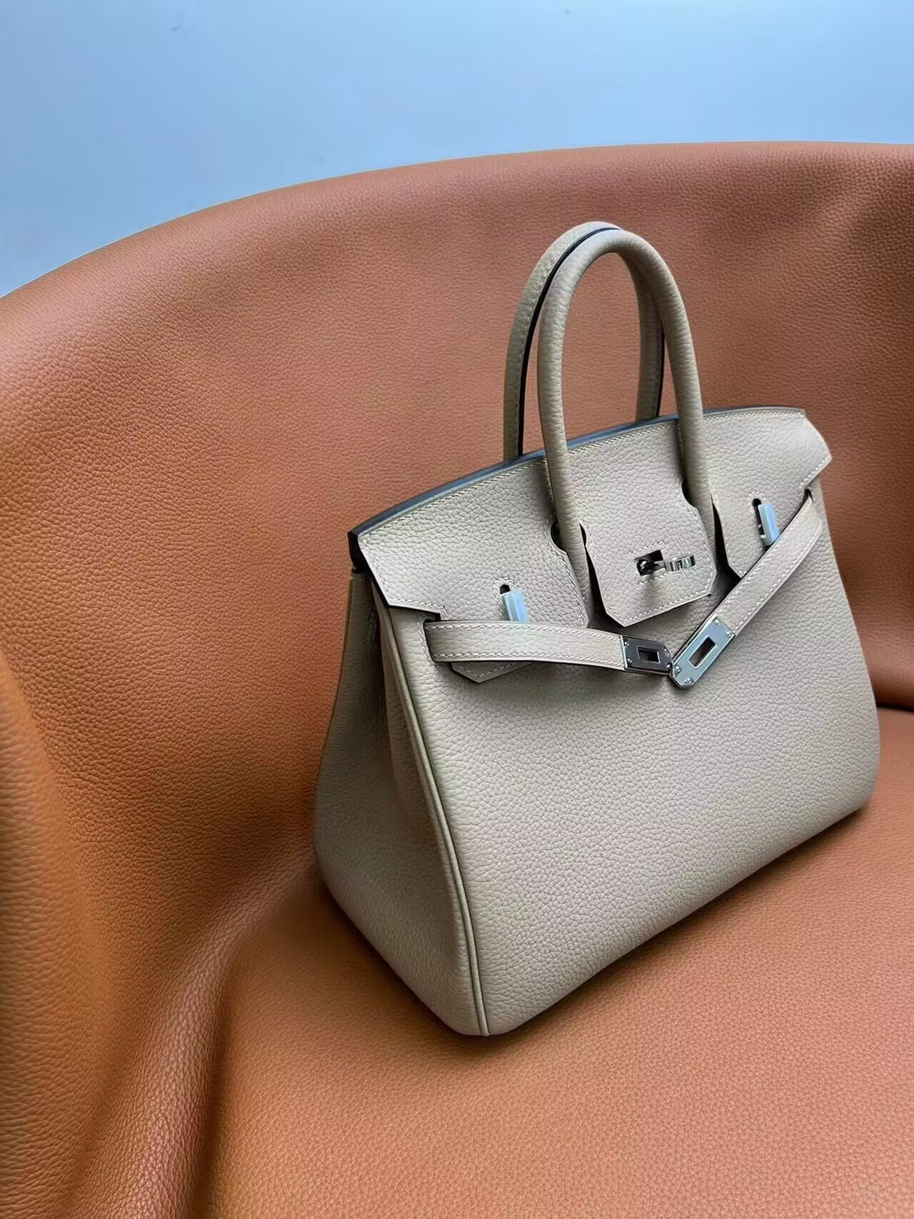 Hermès Birkin 25