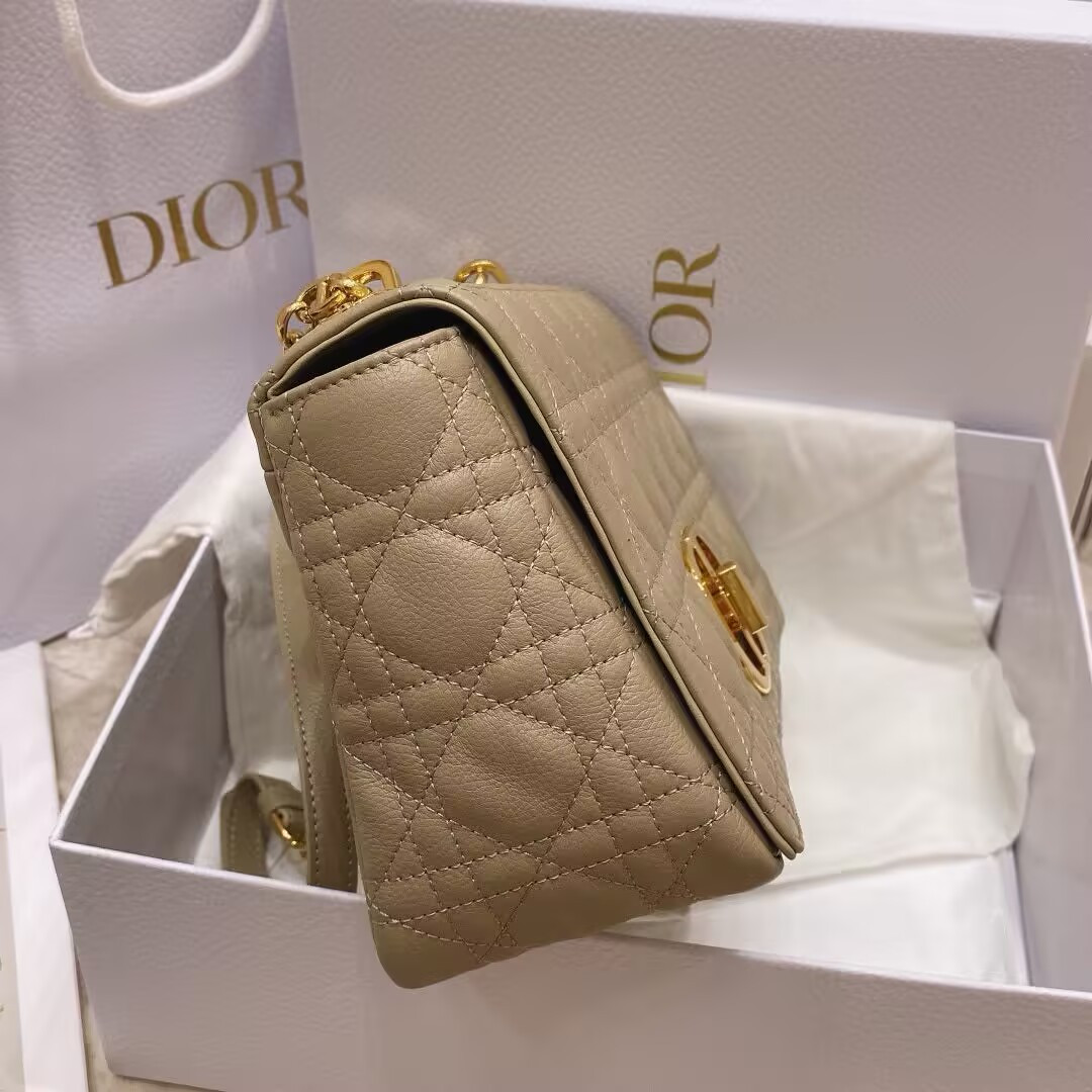 D*or medium D*or caro bag 25.5x15.5x9cm
