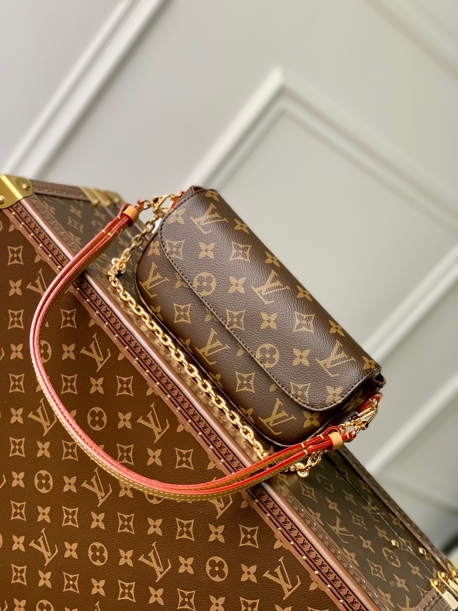 L0*is V*t0n Wallet on Chain Ivy M81911