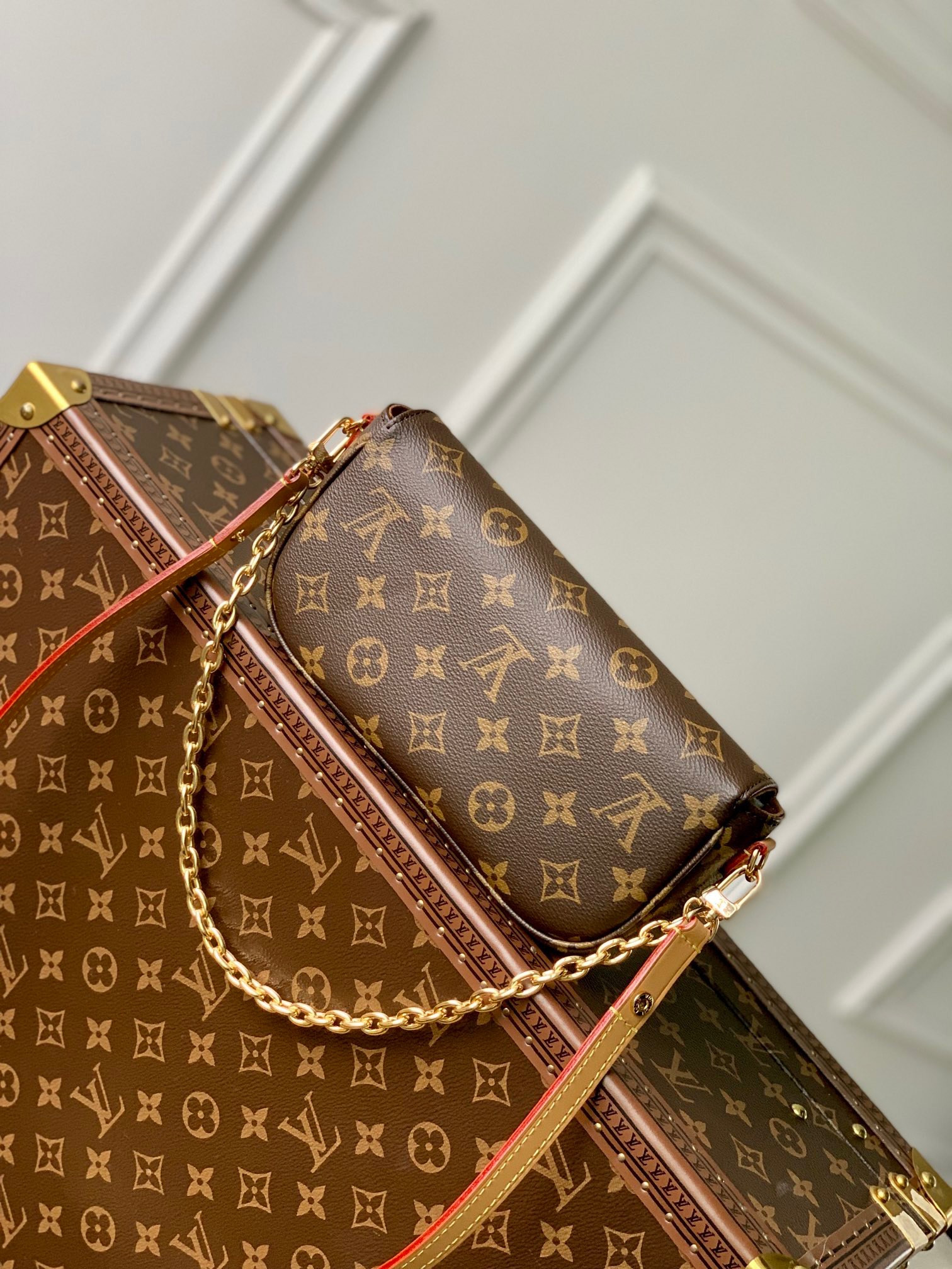 L0*is V*t0n Wallet on Chain Ivy M81911
