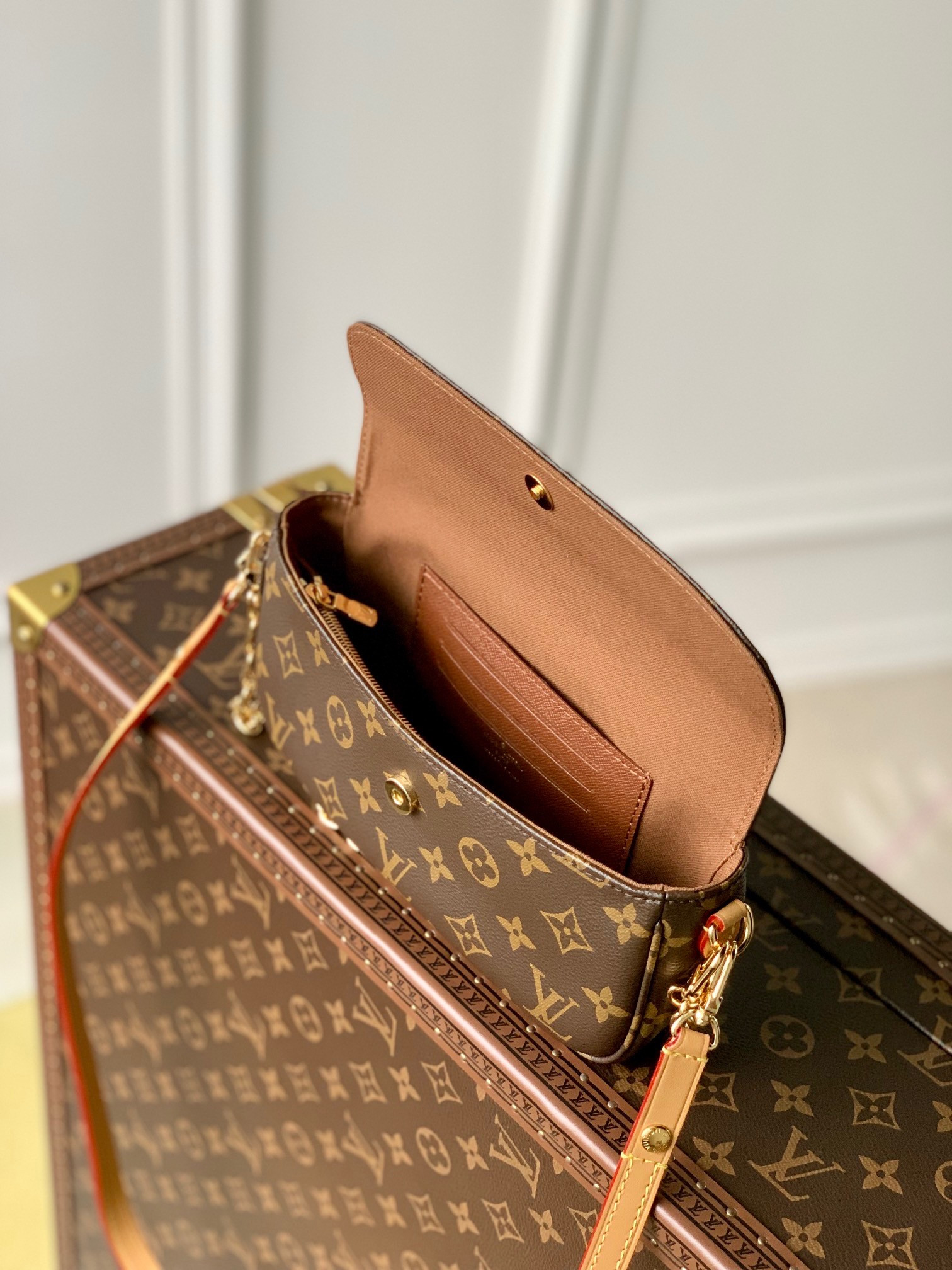 L0*is V*t0n Wallet on Chain Ivy M81911