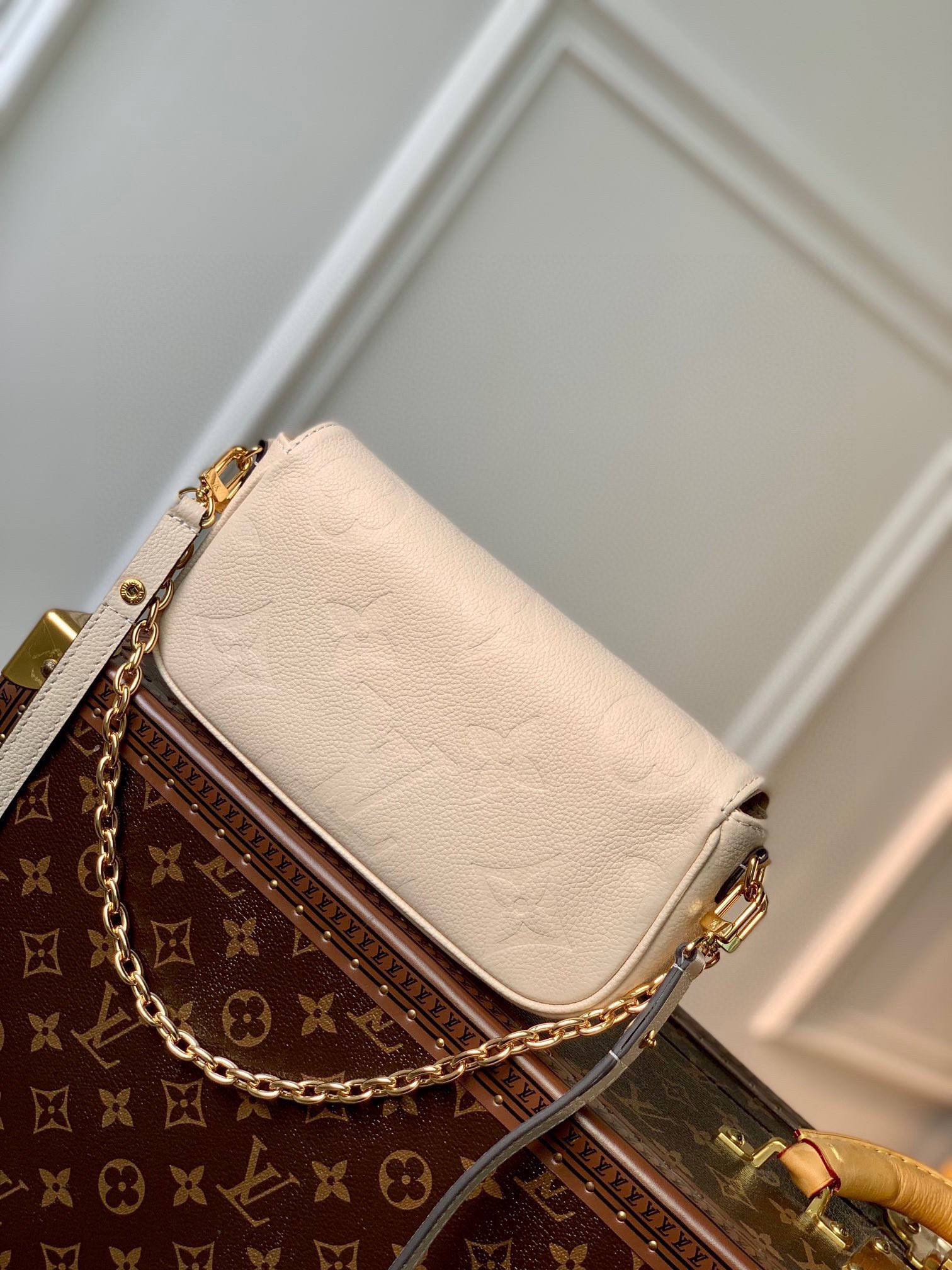 L0*is V*t0n Wallet on Chain Ivy M82210
