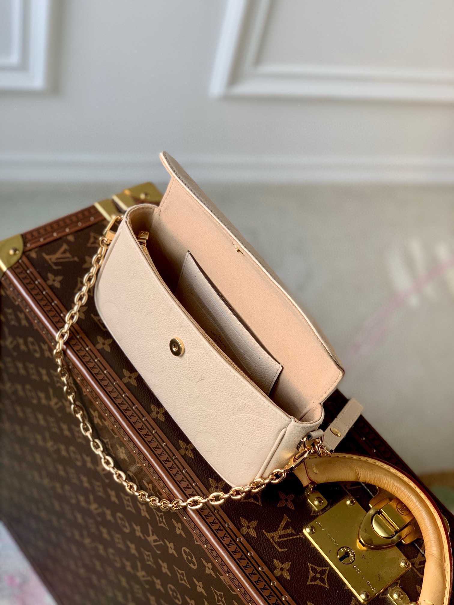 L0*is V*t0n Wallet on Chain Ivy M82210