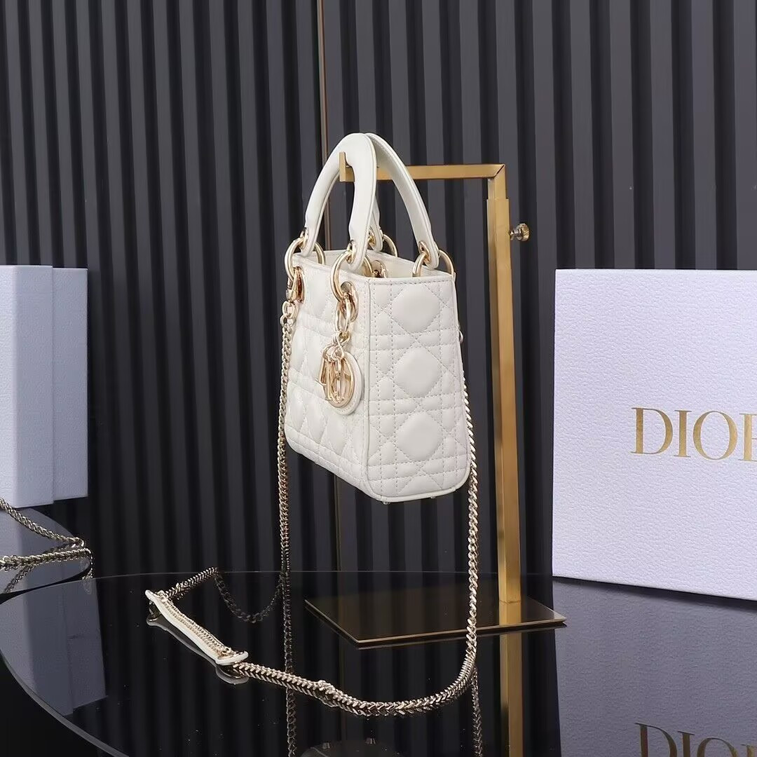 lady D*or bag 17x7x15cm