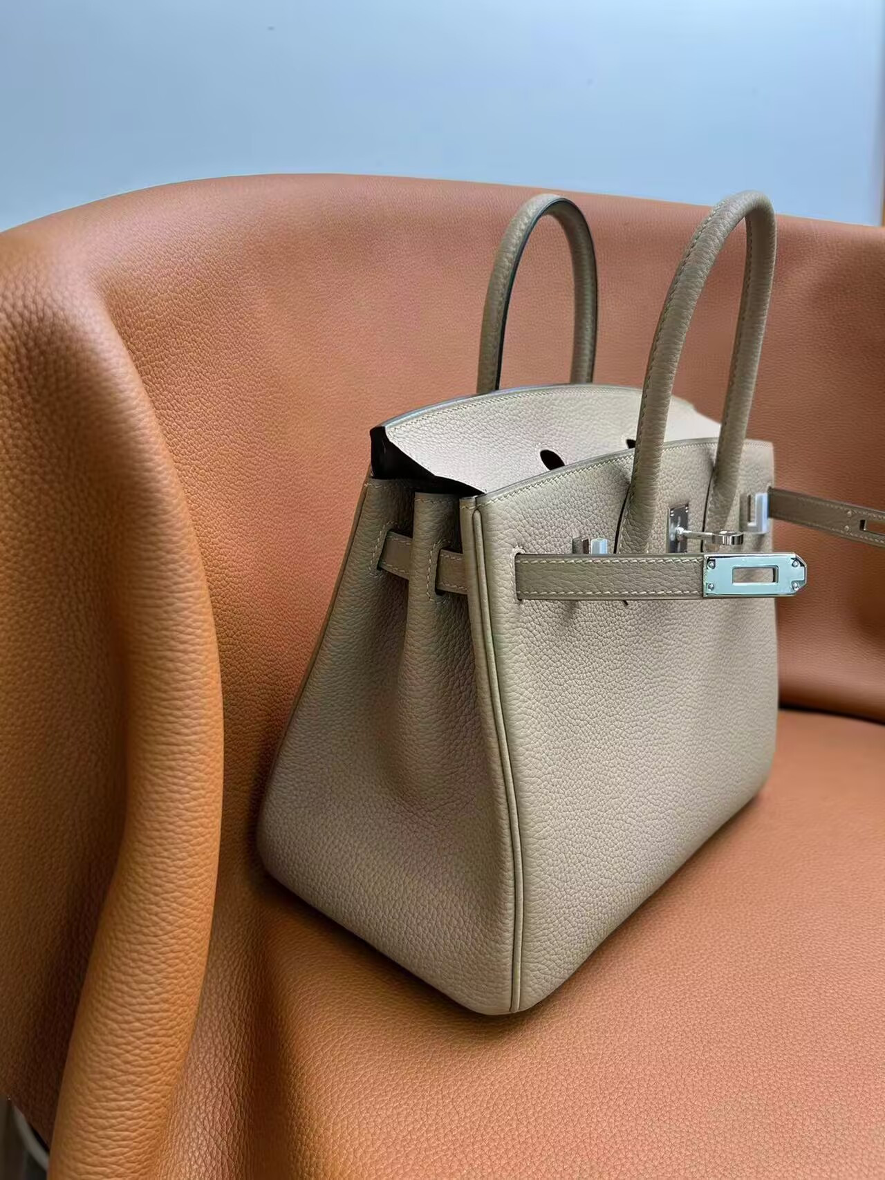 Hermès Birkin 25