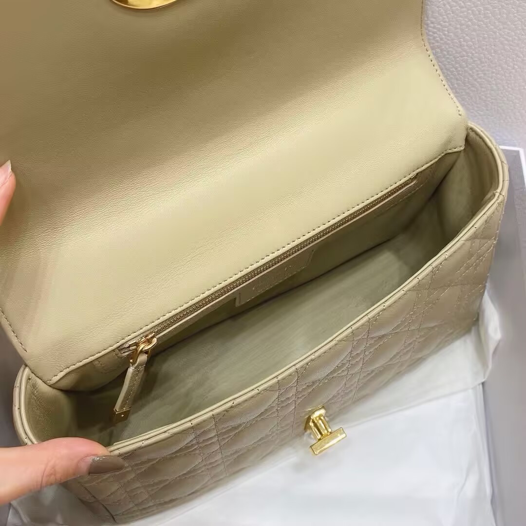 D*or medium D*or caro bag 25.5x15.5x9cm