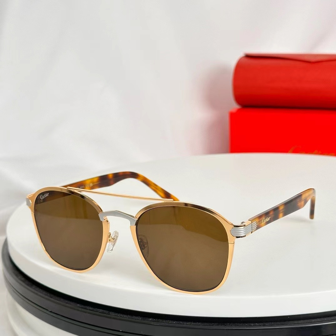 Ca*t*er Glasses CT0012S 56-21-145