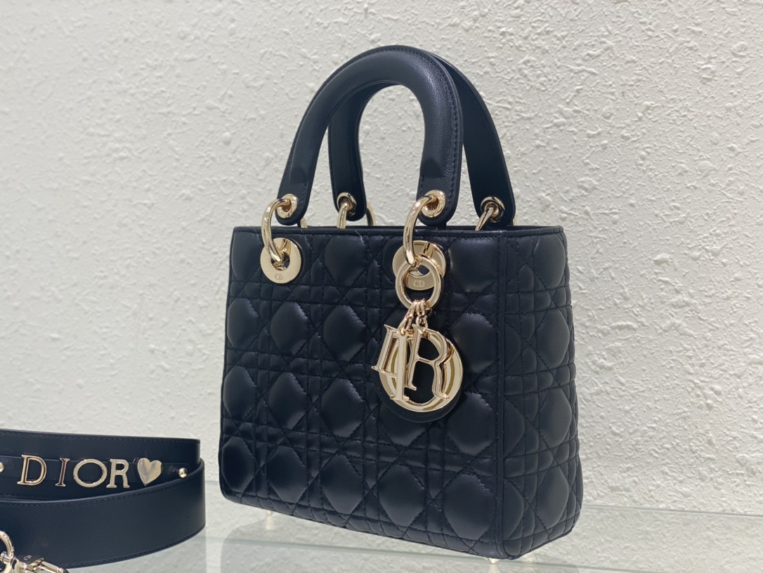 Small Lady D*0r My ABCD*0r Bag 8 x 6.5 x 3 inches