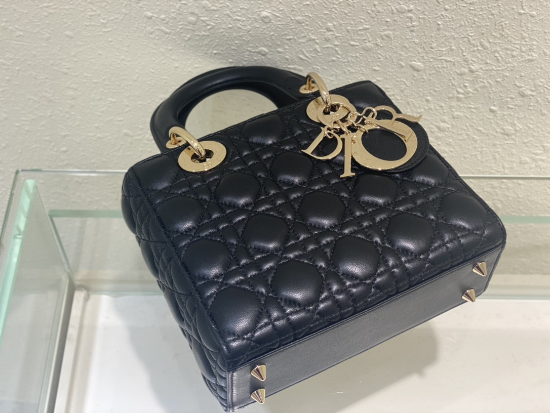 Small Lady D*0r My ABCD*0r Bag 8 x 6.5 x 3 inches