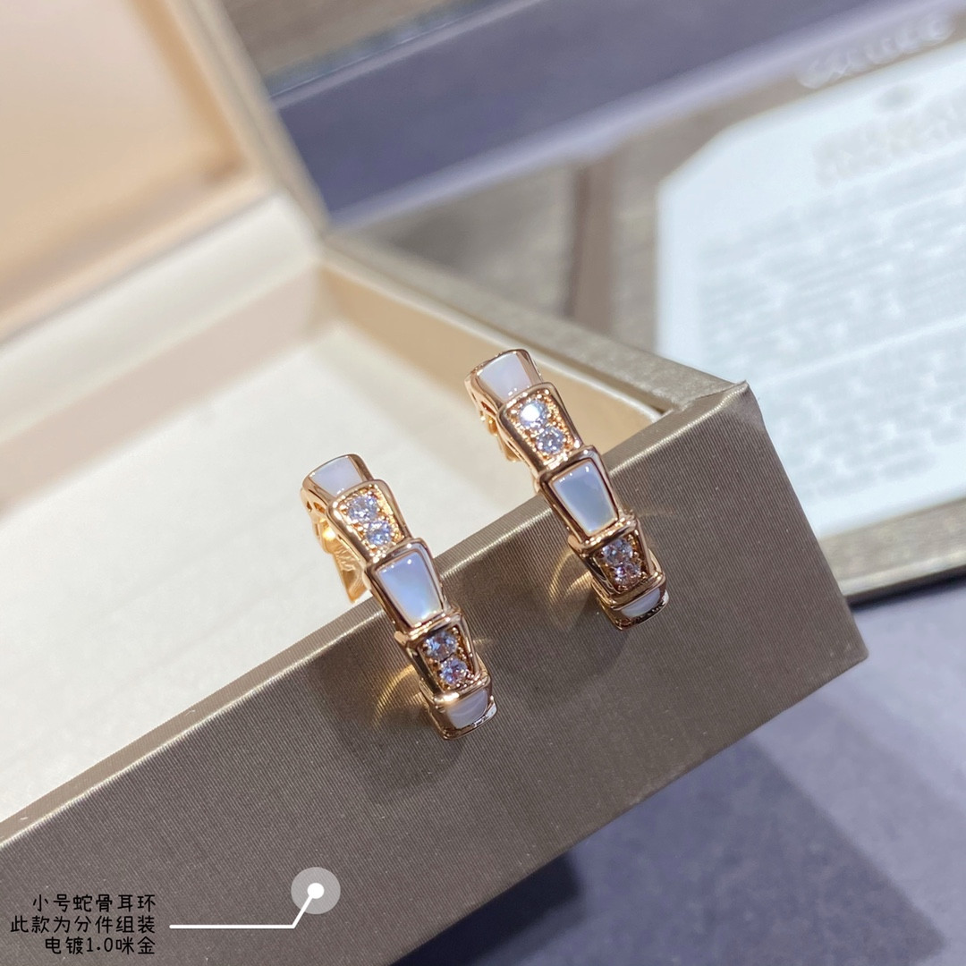 B*l*ai small Snake bone Earrings