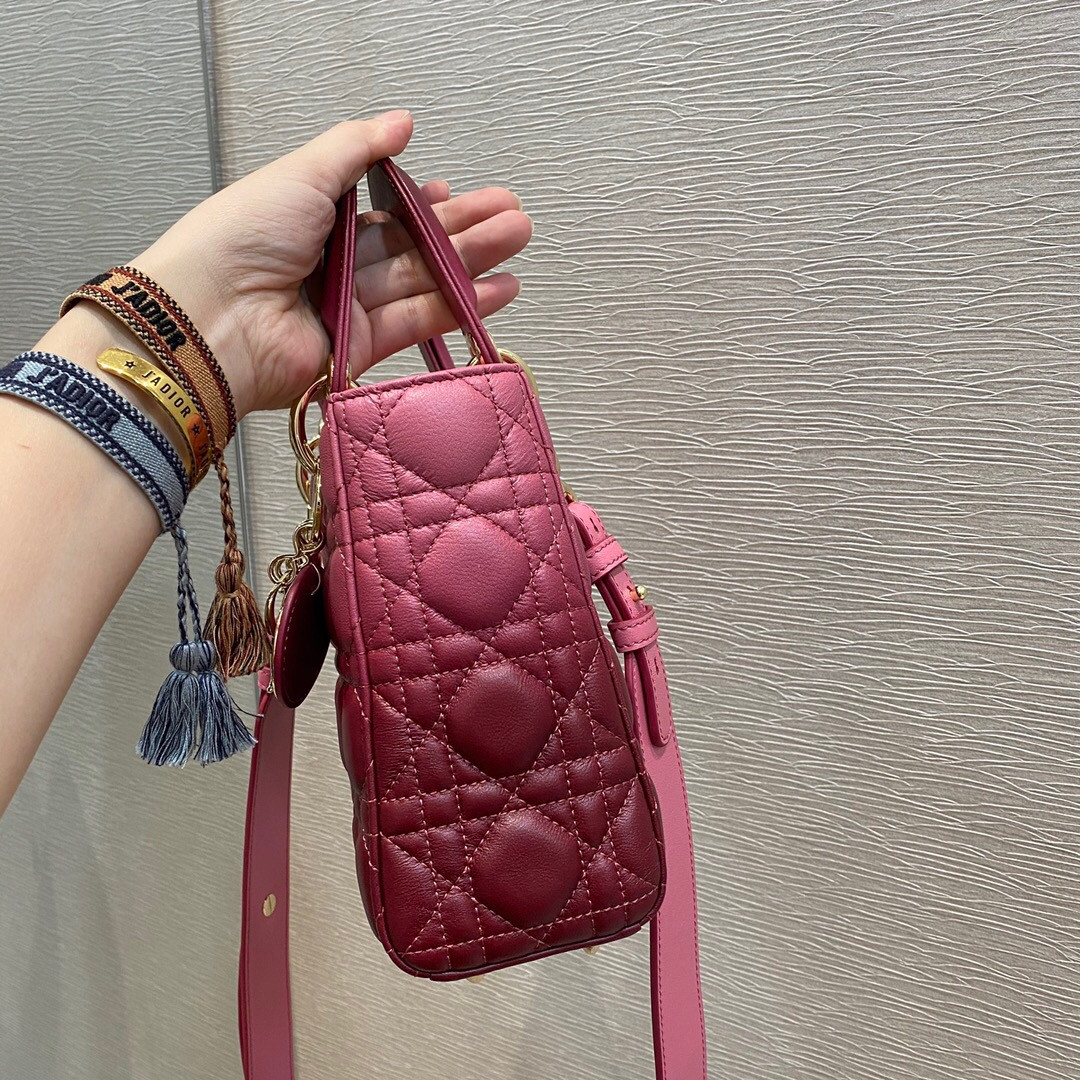 Small Lady D*0r Bag 8 x 6.5 x 3 inches