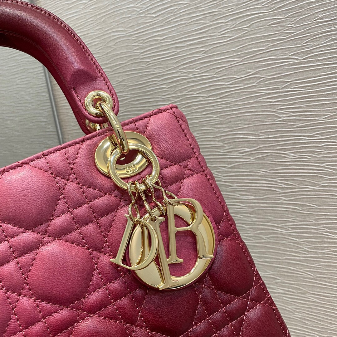 Small Lady D*0r Bag 8 x 6.5 x 3 inches
