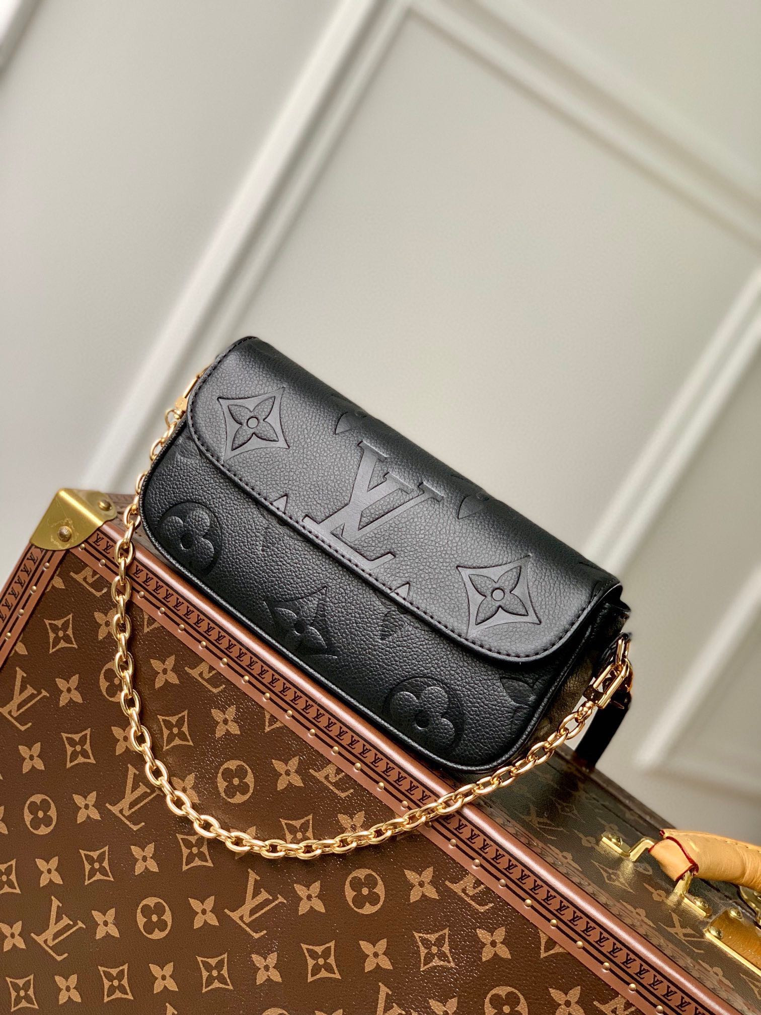 L0*is V*t0n Wallet on Chain Ivy M82210