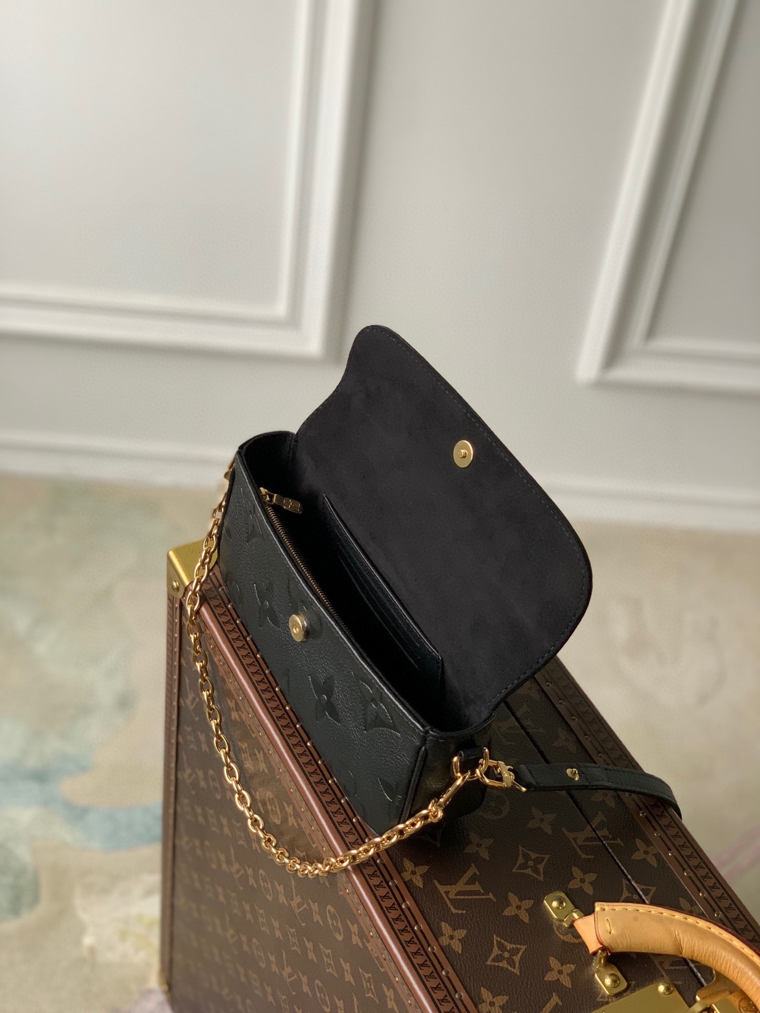 L0*is V*t0n Wallet on Chain Ivy M82210