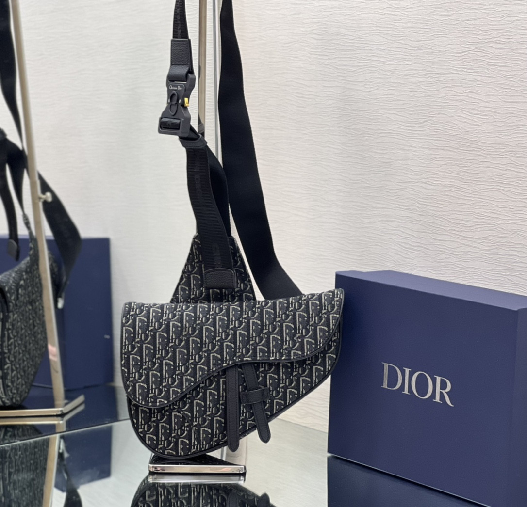 Ch**an D*0r Saddle Crossbody Bag Oblique Canvas 26 x 19 x 4.5 cm