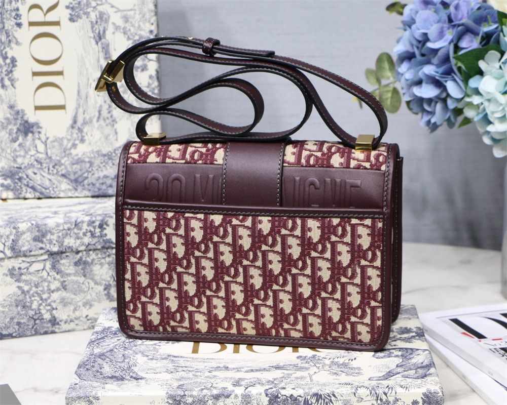 D*0r 30 MONTAIGNE CHAIN BAG ROSERED 24x18x8 cm