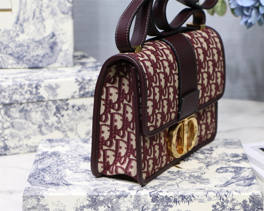 D*0r 30 MONTAIGNE CHAIN BAG ROSERED 24x18x8 cm