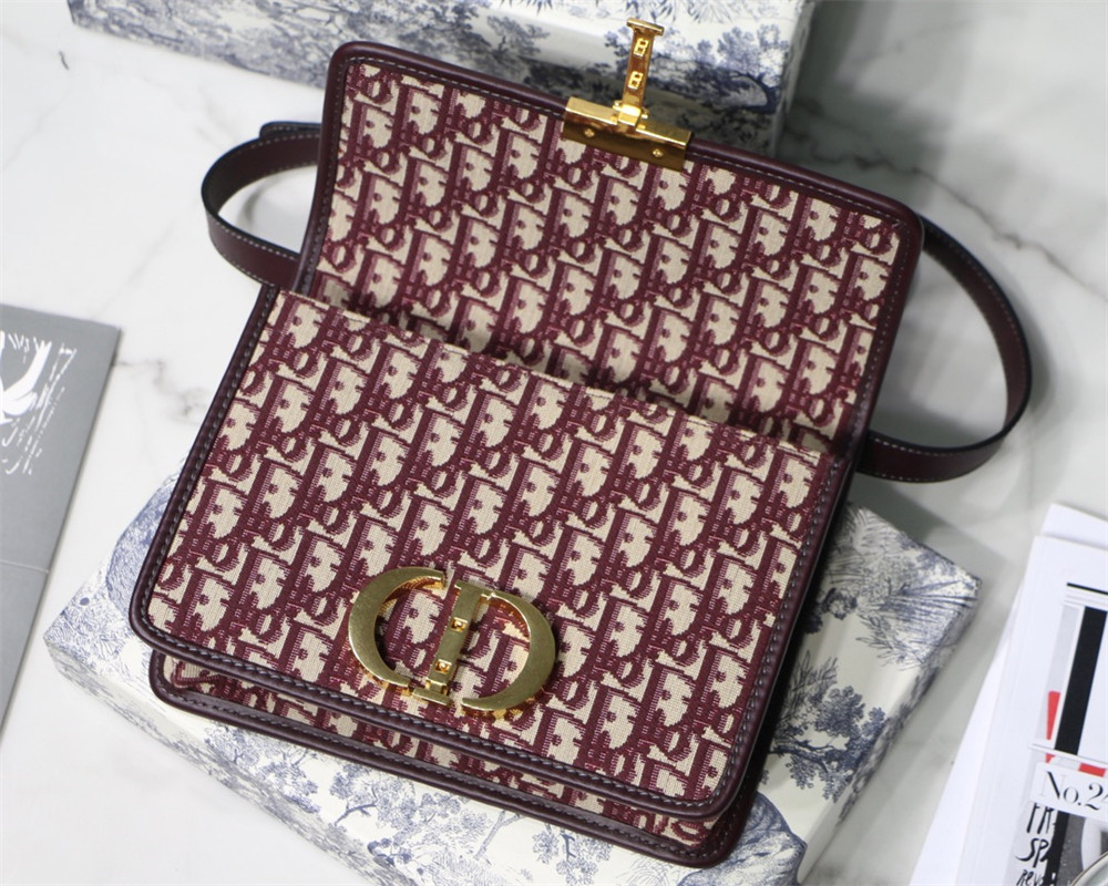 D*0r 30 MONTAIGNE CHAIN BAG ROSERED 24x18x8 cm