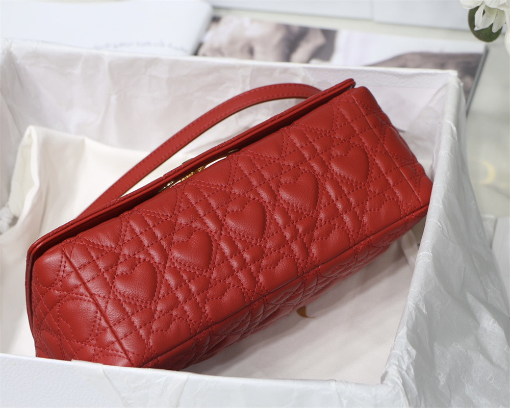 MEDIUM D*0r CARO BAG amour red 25.5 x 15.5 x 8 cm