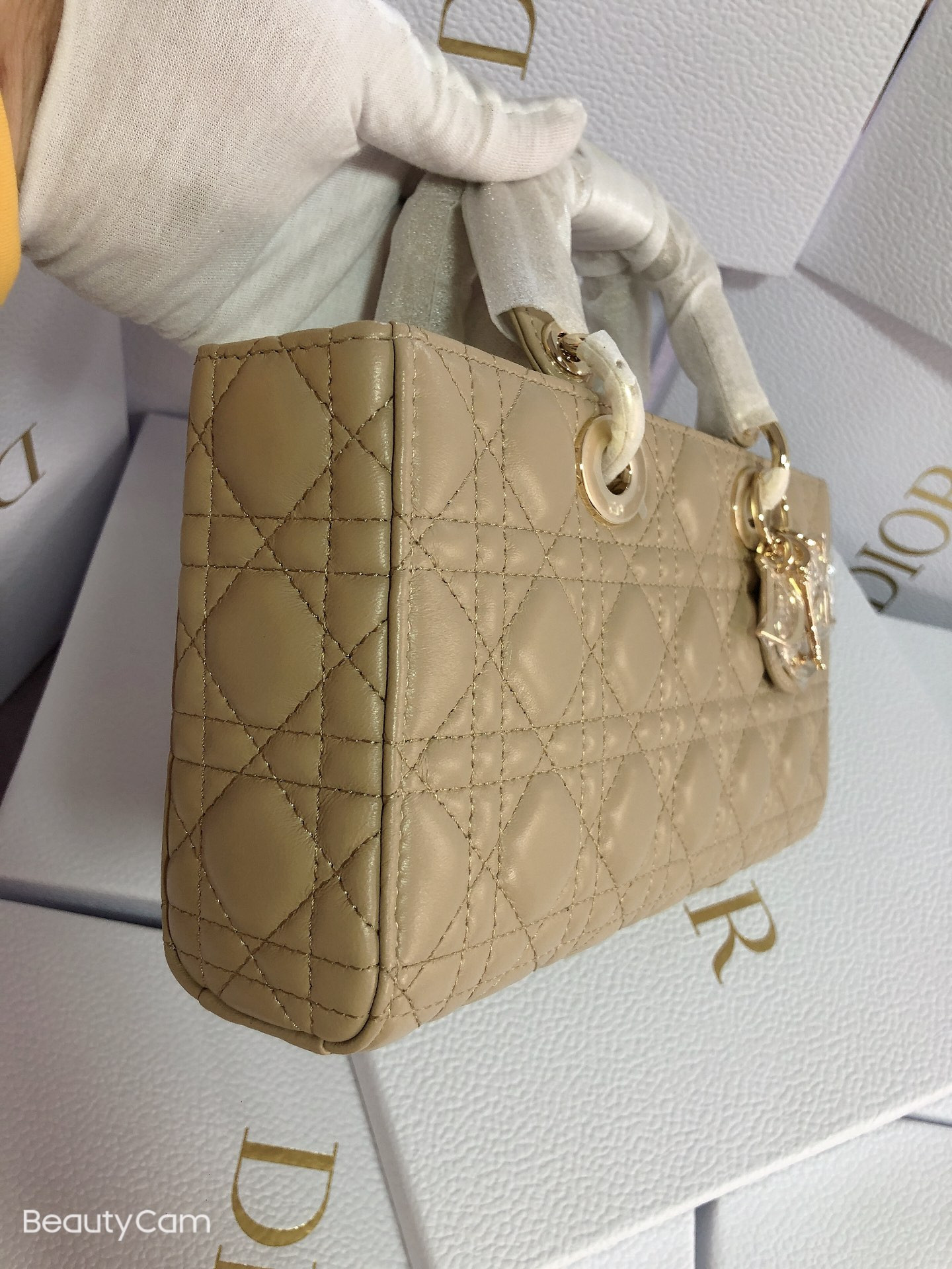 D*0r Lady D-Joy bag medium Sad Colored 26 x 13.5 x 5 cm