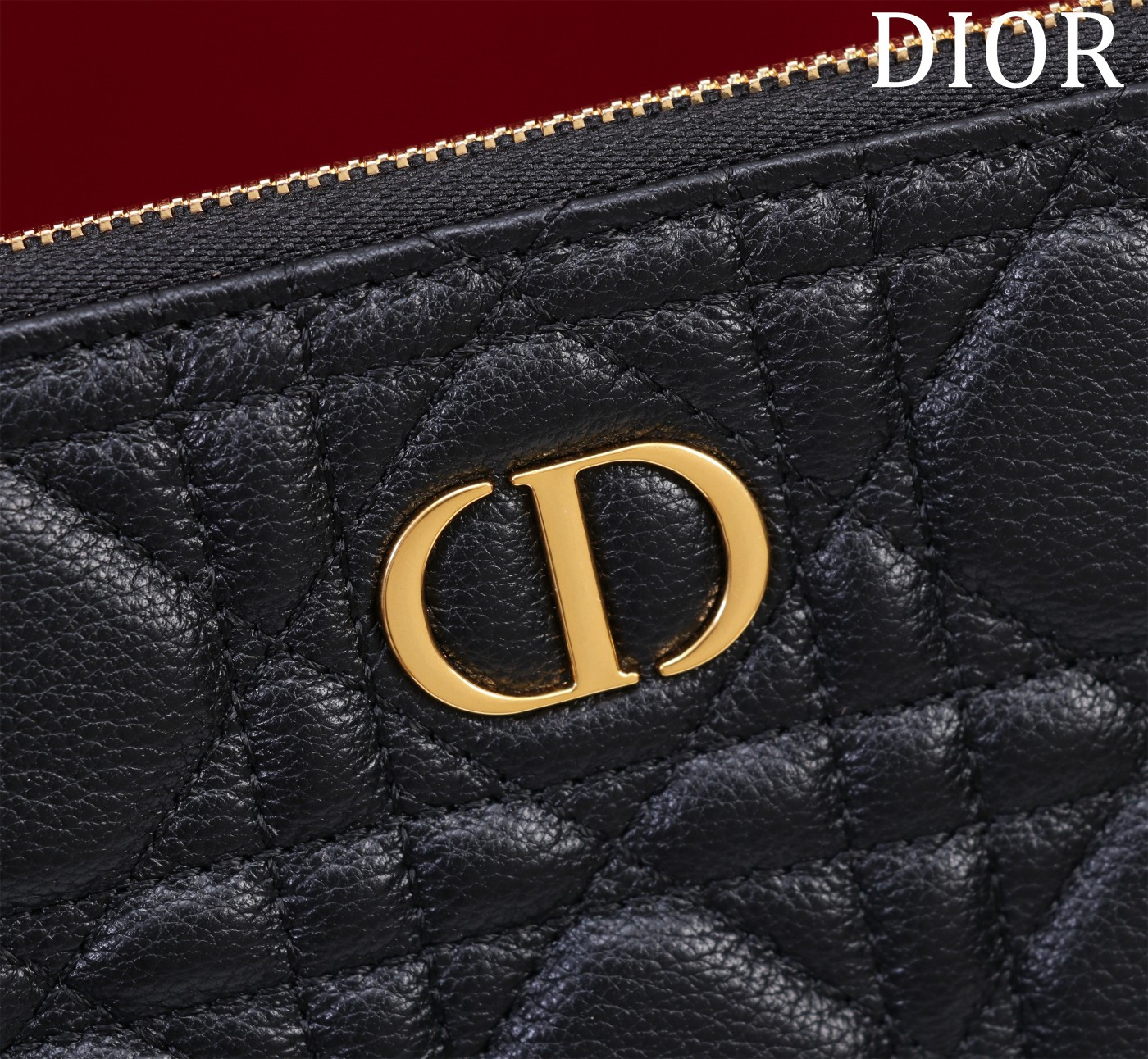 Large D*0r Caro Daily Pouch 30 x 21.5 cm