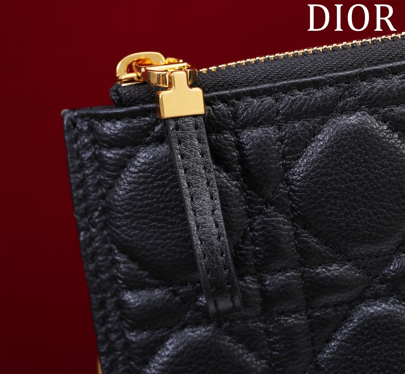Large D*0r Caro Daily Pouch 30 x 21.5 cm