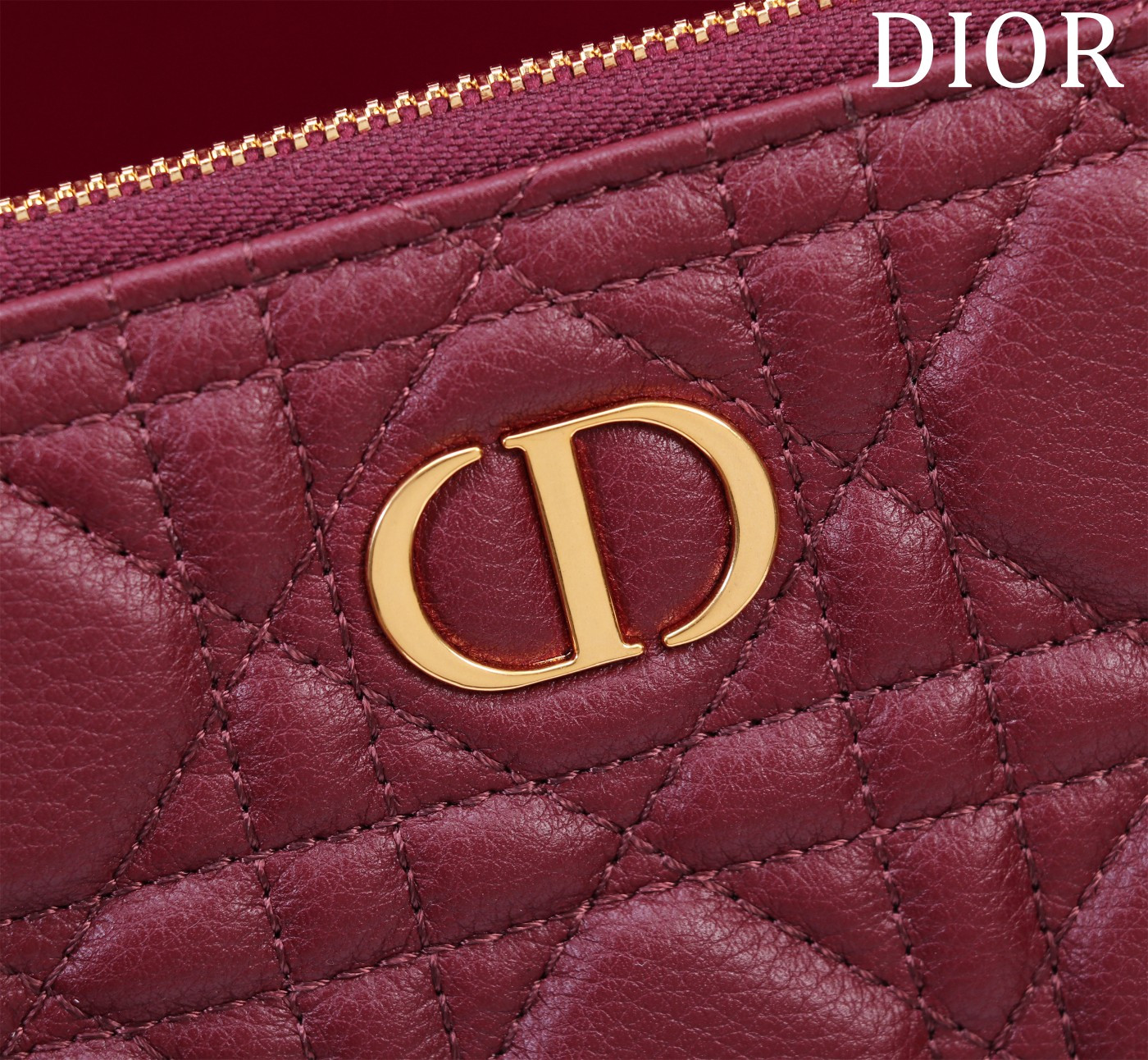 Large D*0r Caro Daily Pouch 30 x 21.5 cm