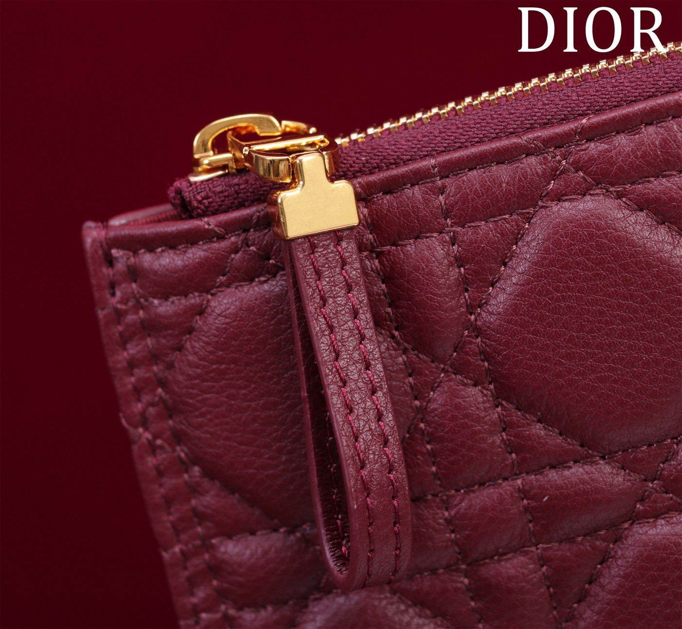 Large D*0r Caro Daily Pouch 30 x 21.5 cm