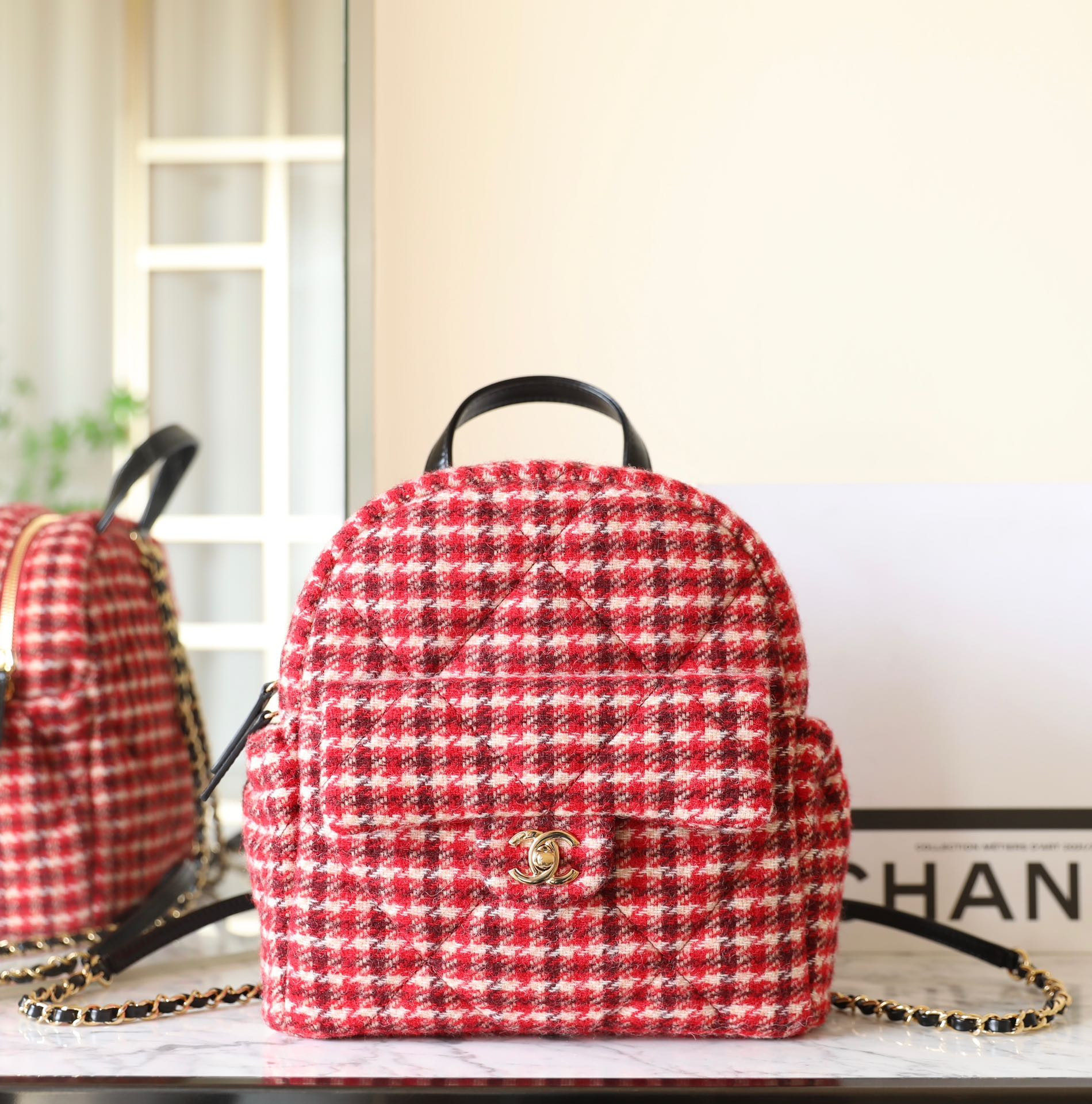 Ch*el Coconeige Backpack 28x26x11cm