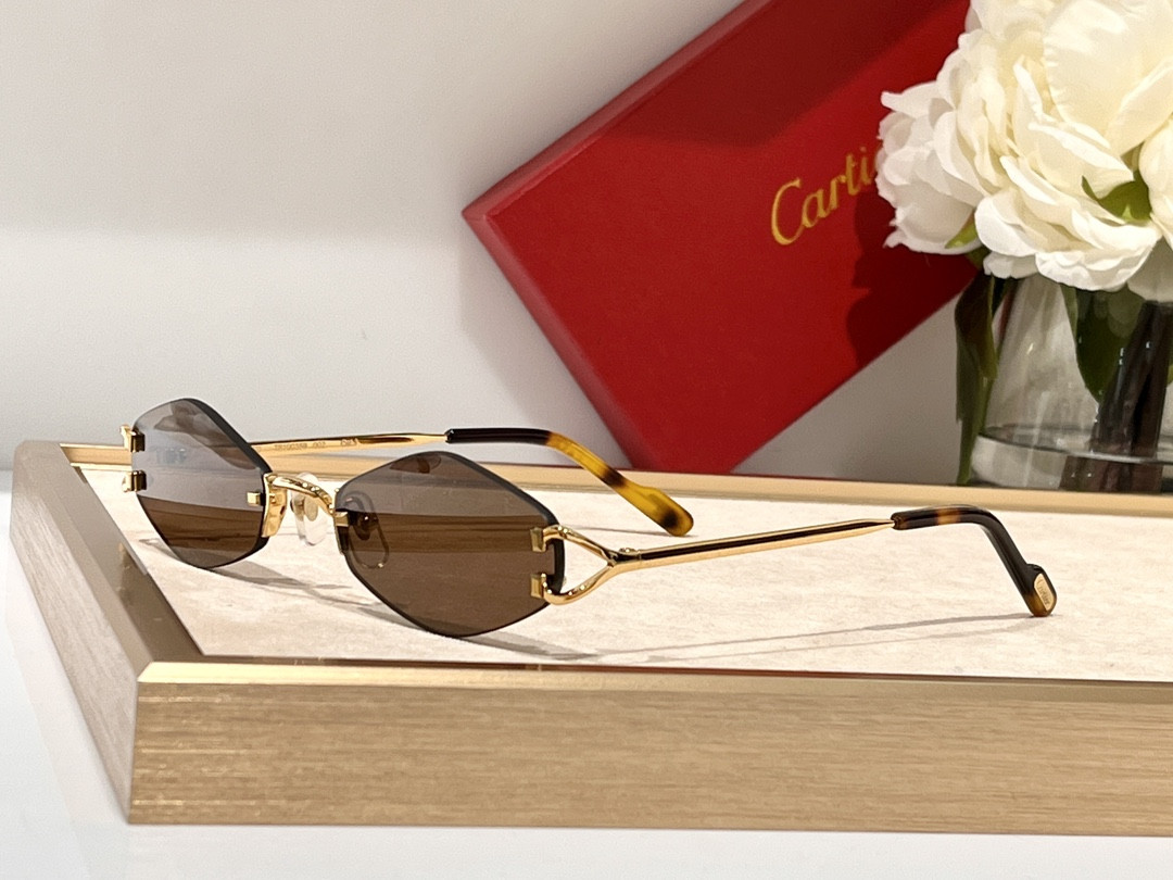 Ca*t*er Glasses CT8100359 48-20-140