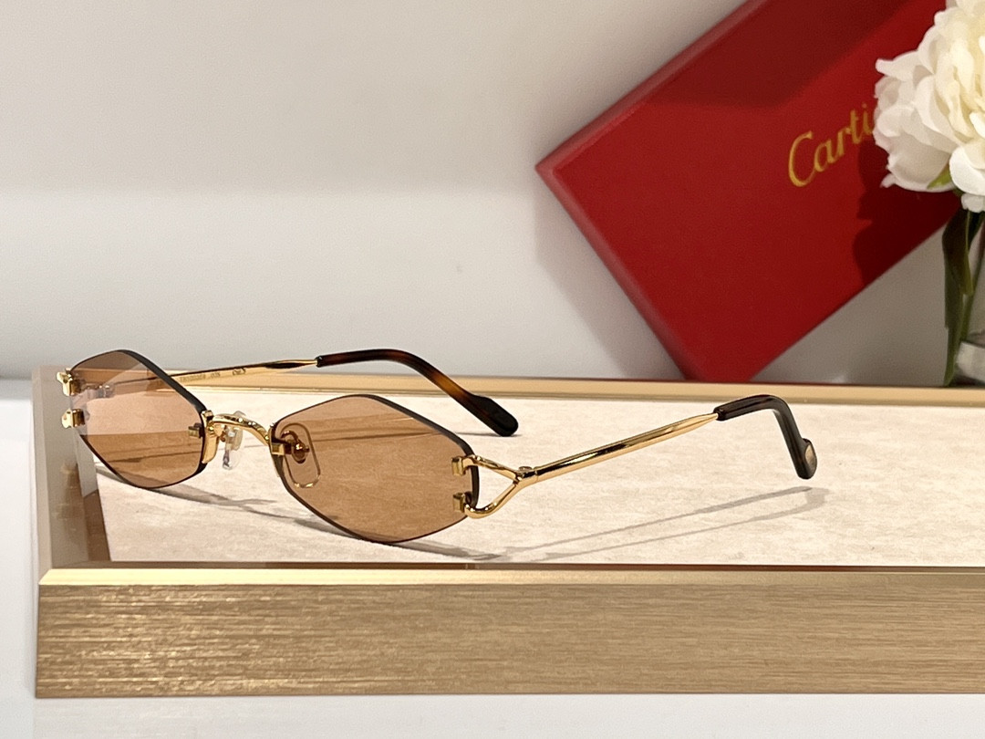 Ca*t*er Glasses CT8100359 48-20-140
