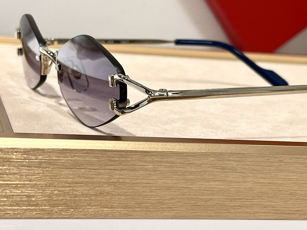 Ca*t*er Glasses CT8100359 48-20-140