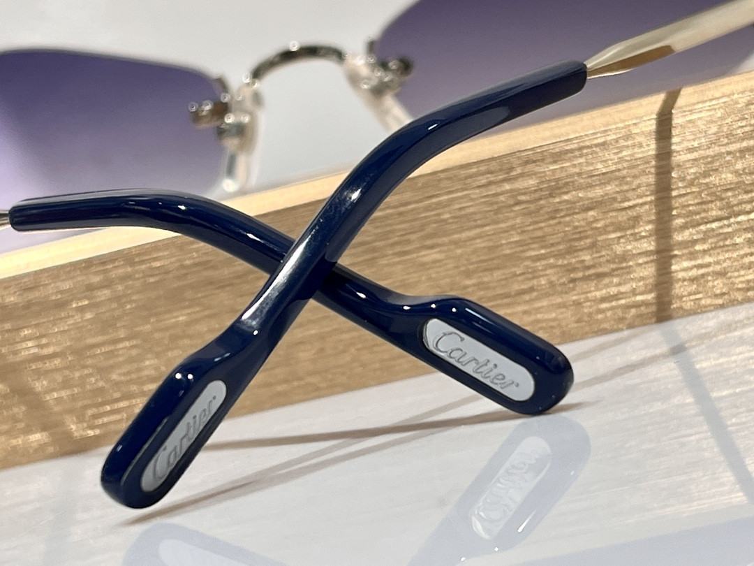 Ca*t*er Glasses CT8100359 48-20-140
