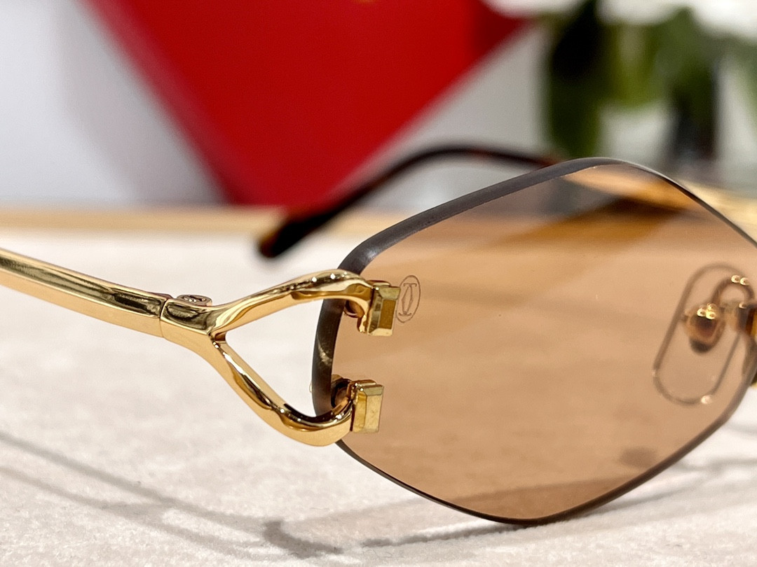 Ca*t*er Glasses CT8100359 48-20-140