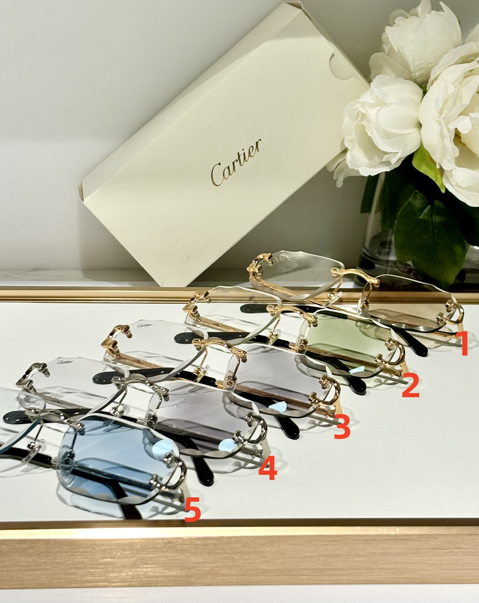 Ca*t*er Glasses Photochromic lenses CT0092 55-18-145