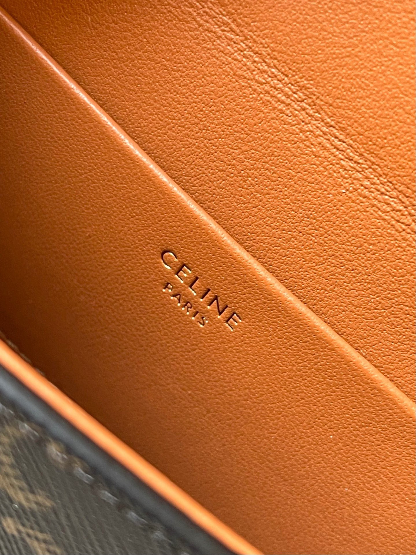 Ce**e SMALL BOX BLANDINE in Triomphe Canvas and Calfskin 16x12x4cm