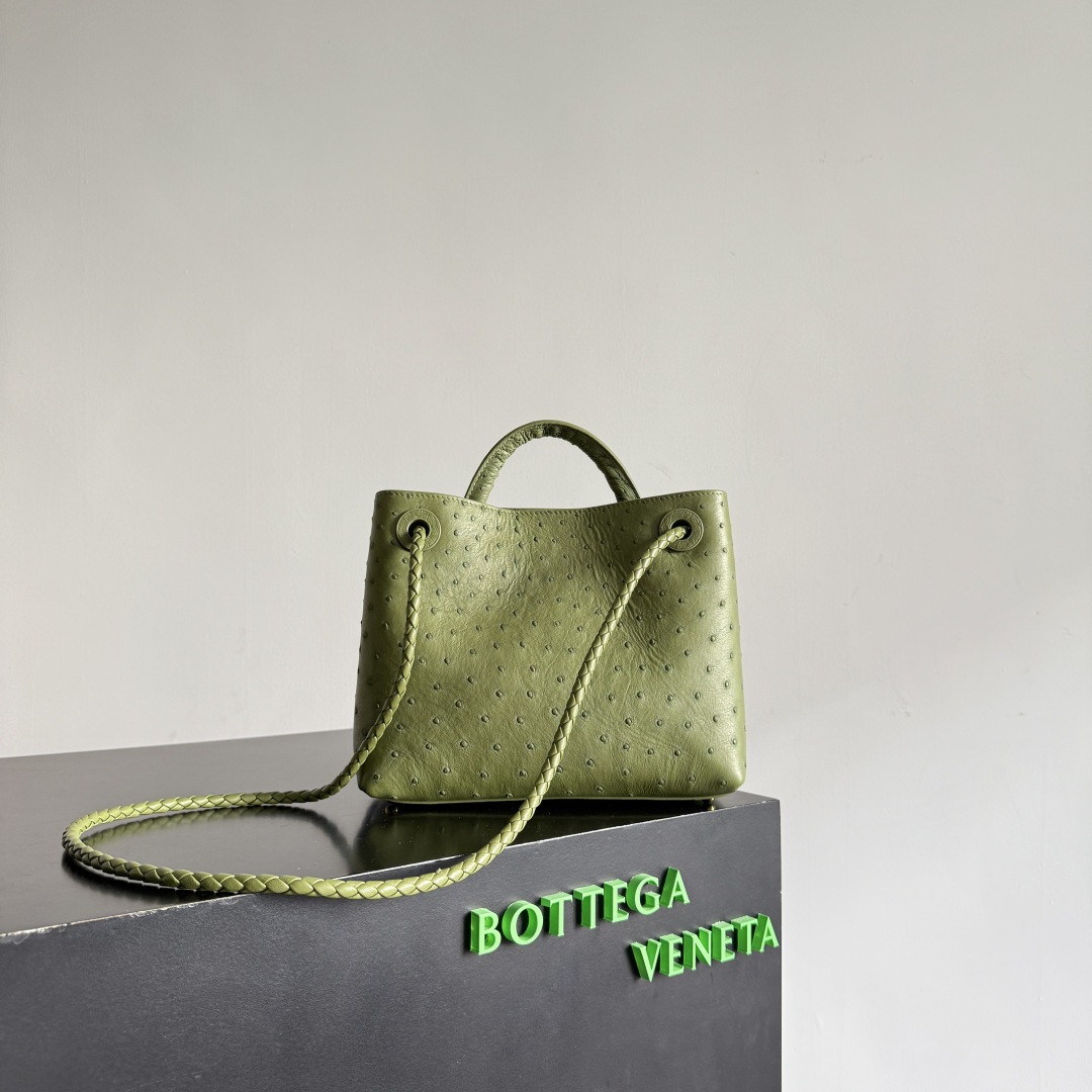 bo*te*ga Ve*ne*ta small andiamo 25x20x10cm
