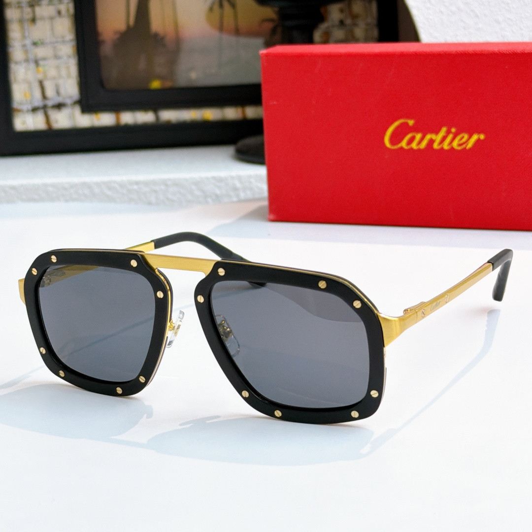 Ca*t*er glasses ct0573s 55-20-145