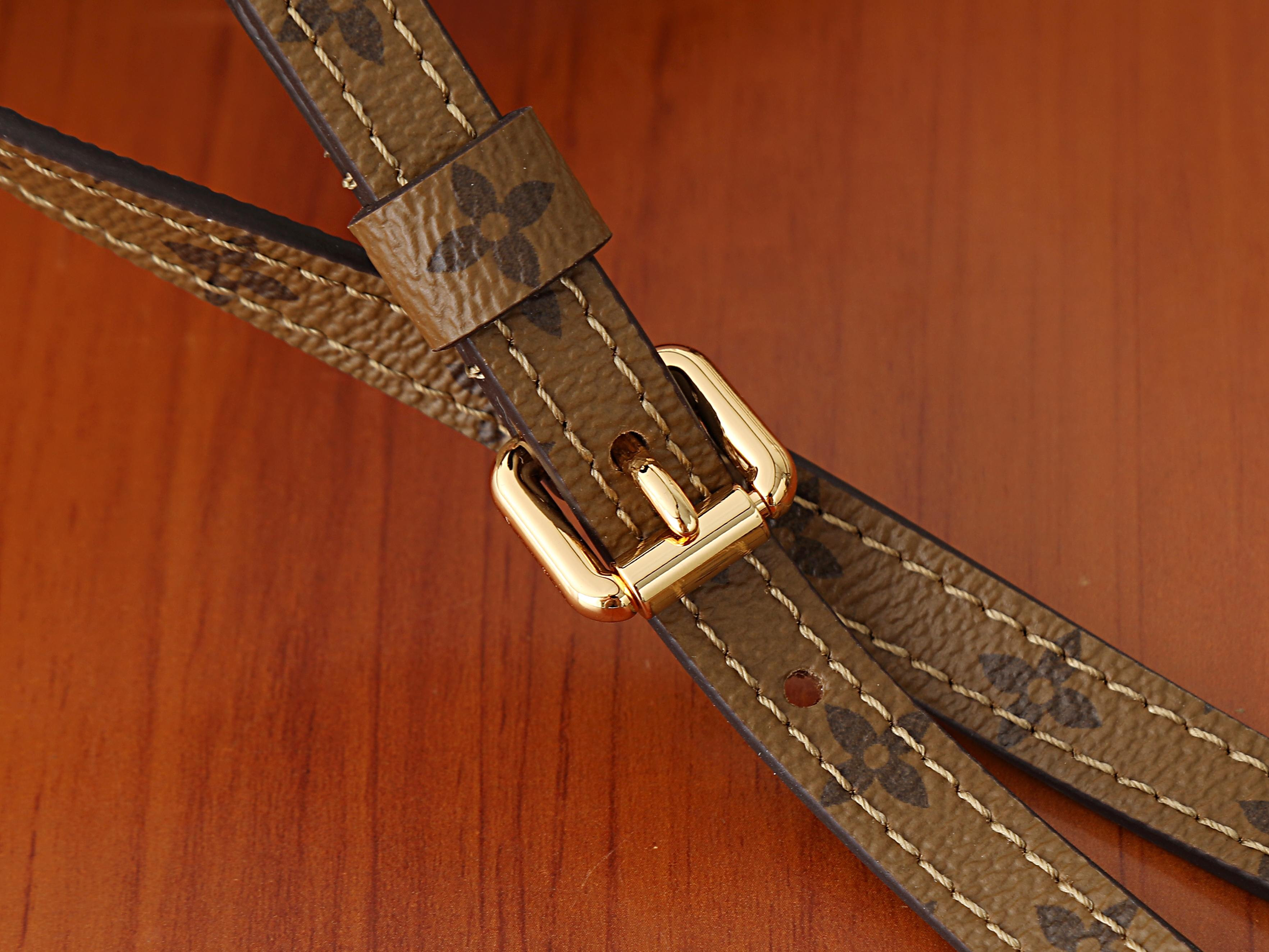 LV Express PM M29847 26x17x13.5cm