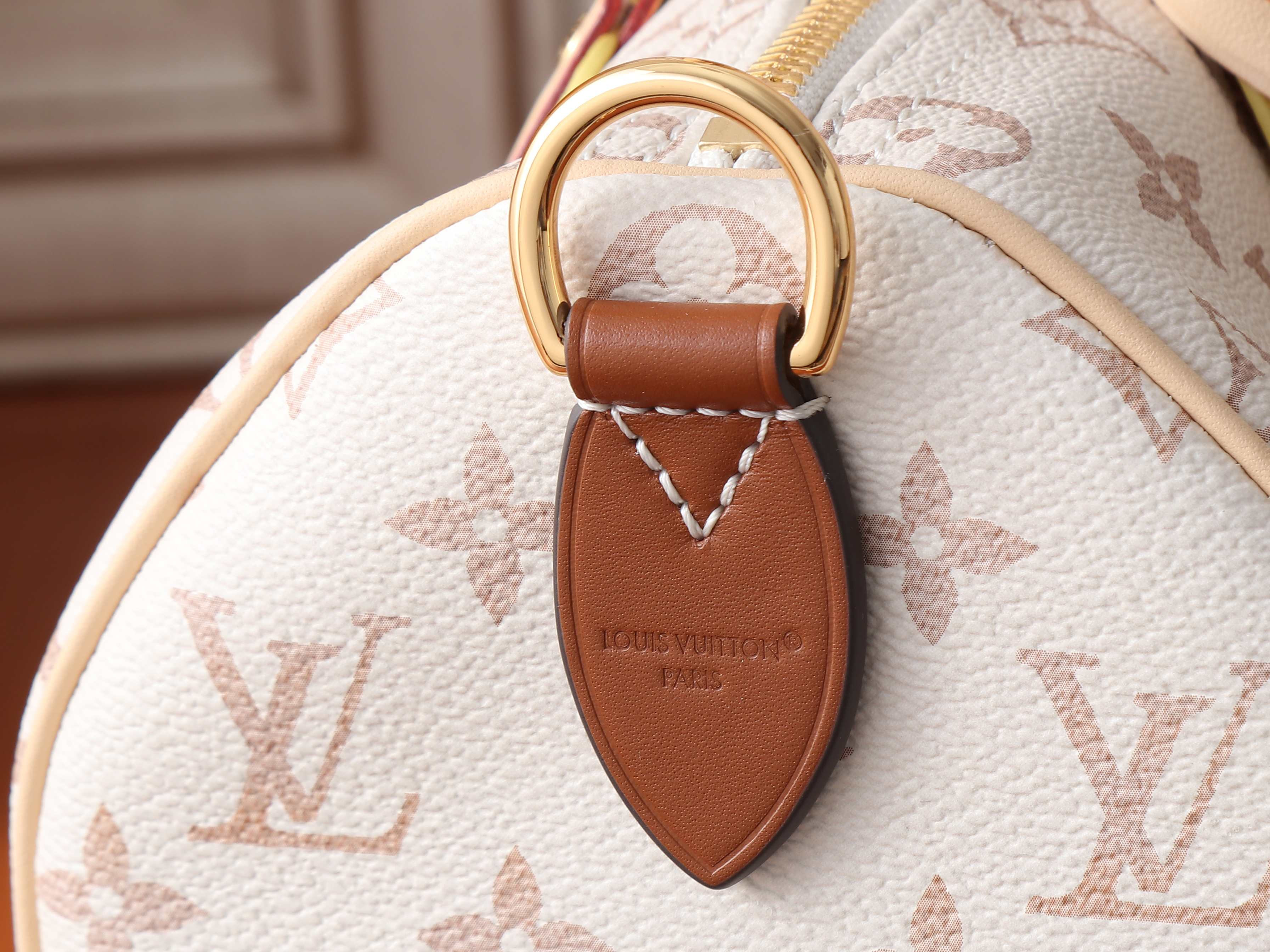 LV Speedy Bandouliere 25 M2A038 26x19x15cm