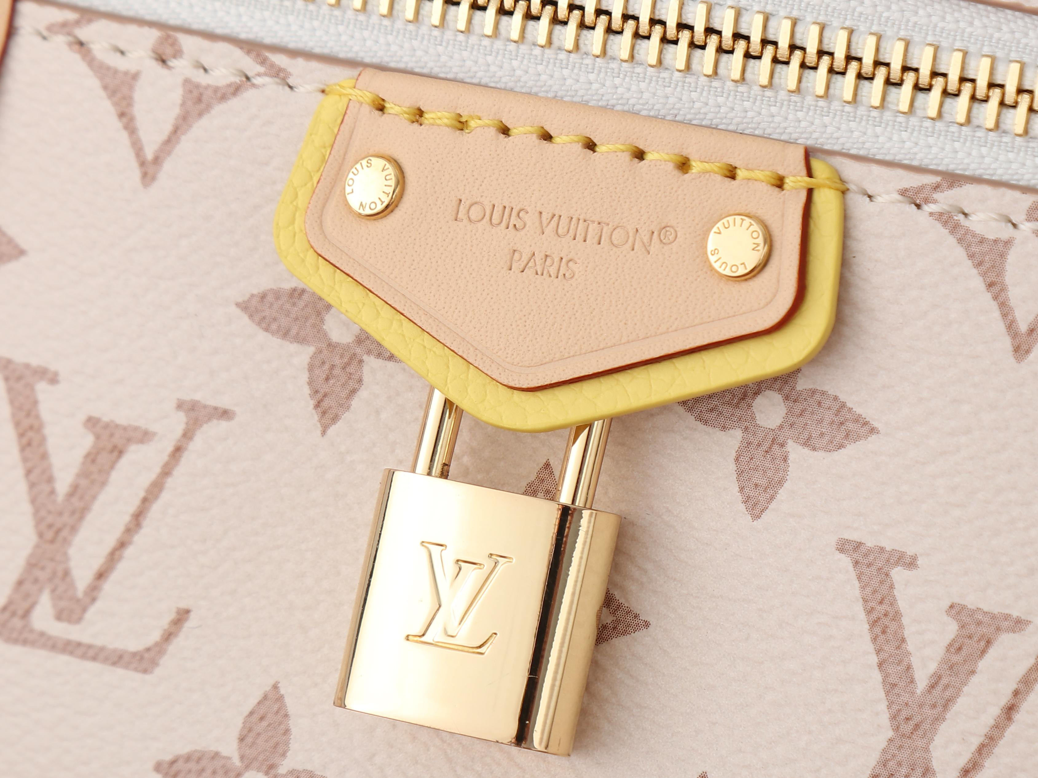 LV Vanity Chain Pouch M29782 19x11.5x6.5cm