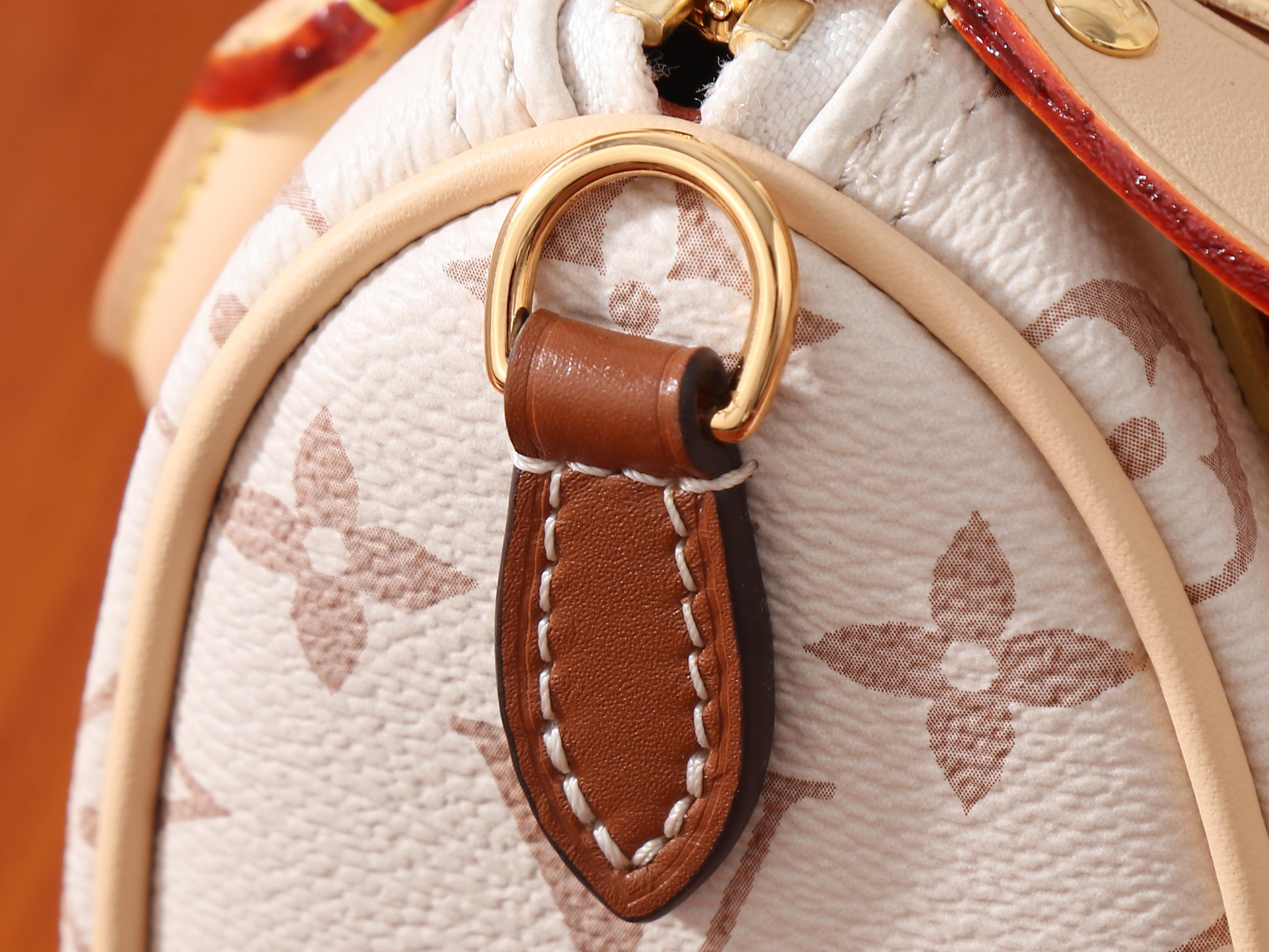 LV Nano Speedy M29781 16x12.5x10cm
